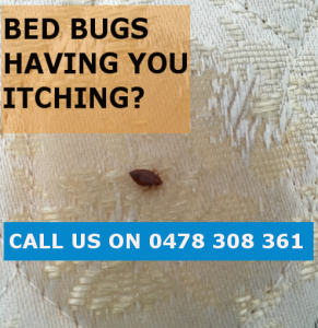 Bed Bugs Removal Melbourne CBD